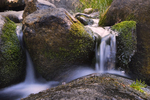 photo thumbnail #13