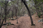 photo thumbnail #15