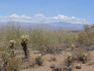 photo thumbnail #6