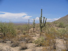 photo thumbnail #14