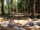 photo thumbnail #3