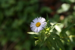 photo thumbnail #14