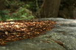 photo thumbnail #15