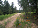 photo thumbnail #4