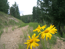 photo thumbnail #6