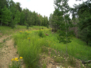 photo thumbnail #8