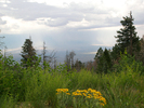 photo thumbnail #14