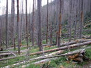 photo thumbnail #4