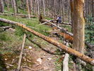 photo thumbnail #5
