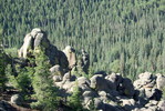 photo thumbnail #9