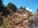 photo thumbnail #1
