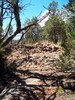 photo thumbnail #8