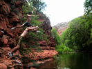 photo thumbnail #3