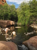 photo thumbnail #5