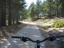 photo thumbnail #1