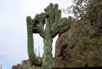 photo thumbnail #6