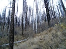 photo thumbnail #2