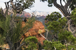 photo thumbnail #9