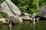 photo thumbnail #5