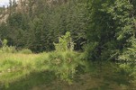 photo thumbnail #10