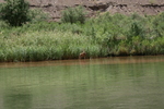 photo thumbnail #14