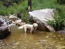 photo thumbnail #7