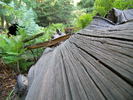 photo thumbnail #1