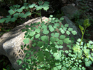 photo thumbnail #13