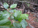 Featured Detail Photo