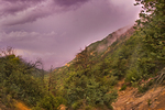 photo thumbnail #4