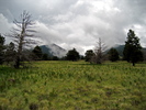 photo thumbnail #14