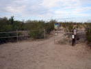 photo thumbnail #1