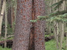 photo thumbnail #1