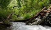 photo thumbnail #2