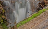 photo thumbnail #5