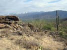 photo thumbnail #4