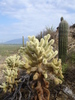 photo thumbnail #6