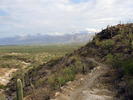 photo thumbnail #7