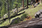 photo thumbnail #7