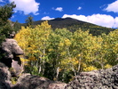 photo thumbnail #9