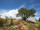 photo thumbnail #6