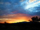 photo thumbnail #12