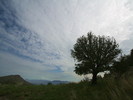 photo thumbnail #13