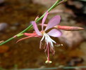 photo thumbnail #15