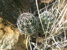 photo thumbnail #6
