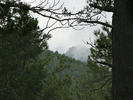 photo thumbnail #14