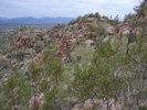 photo thumbnail #7