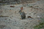 photo thumbnail #8