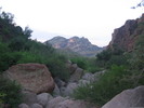 photo thumbnail #3