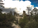 photo thumbnail #14